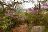 安芸 高松山城の写真