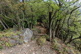 安芸 高松山城の写真