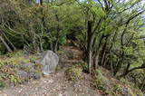 安芸 高松山城の写真