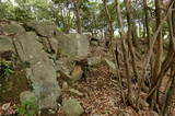 安芸 高松山城の写真