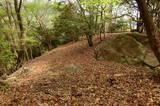 安芸 高松山城の写真