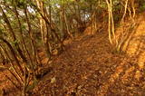 安芸 高松山城の写真