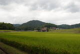 安芸 龍王山城(高屋町)の写真