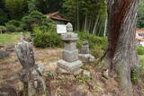 安芸 龍王山城(高屋町)の写真