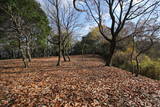 安芸 高山城の写真