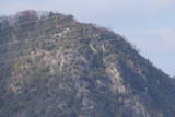 安芸 高山城の写真