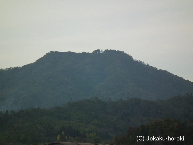 安芸 岳城の写真