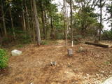 安芸 岳城の写真