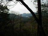 安芸 岳城の写真