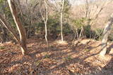 安芸 嵩山城の写真