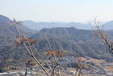 安芸 嵩山城の写真