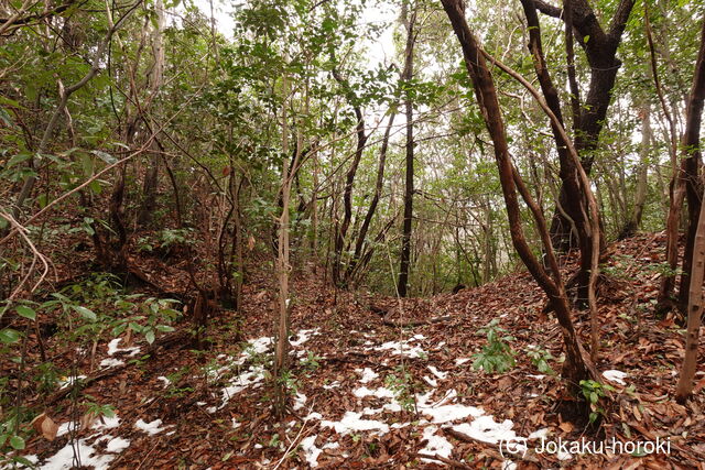安芸 滝の尾城の写真