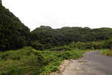 安芸 (仮)滝山東城の写真