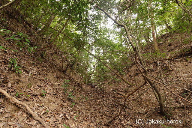 安芸 滝山城の写真