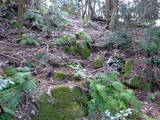 安芸 寺原城の写真