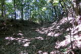 安芸 鳥籠山城の写真