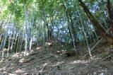 安芸 鳥籠山城の写真