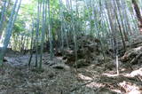 安芸 鳥籠山城の写真