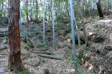 安芸 鳥籠山城の写真