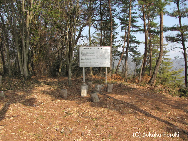 安芸 槌山城の写真