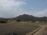 安芸 槌山城の写真