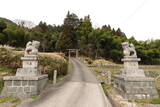 安芸 葛掛山城の写真