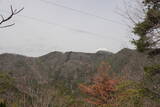 安芸 葛掛山城の写真