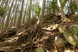 安芸 牛頭山城の写真