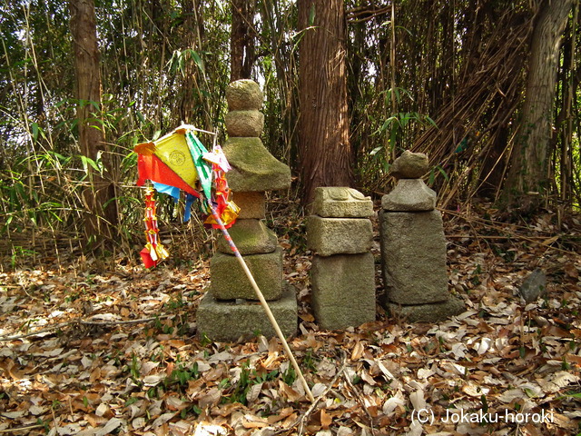 安芸 田屋城(河内町)の写真