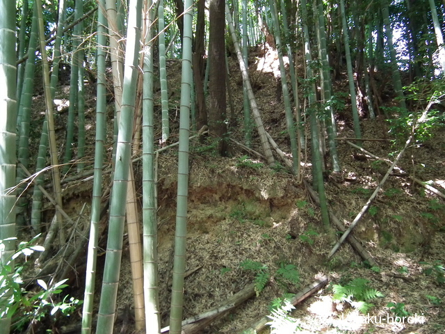 安芸 亀山城(江田島町)の写真