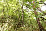 安芸 山田城の写真