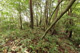 安芸 山田城の写真