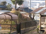 安芸 山崎土居屋敷の写真