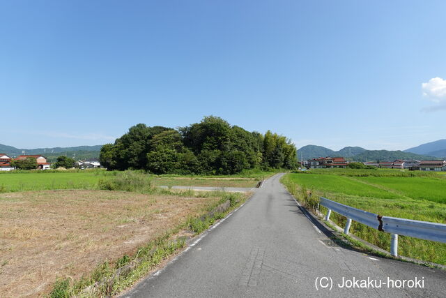 安芸 八溝館の写真