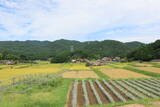 安芸 吉末城の写真