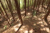 安芸 吉末城の写真