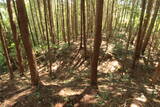 安芸 吉末城の写真