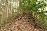 安芸 (仮)城平城の写真