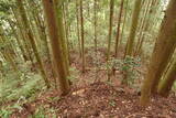 安芸 (仮)城平城の写真
