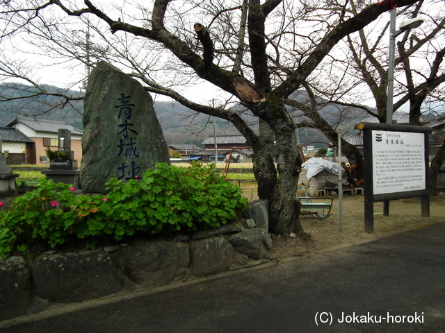 阿波 青木城の写真