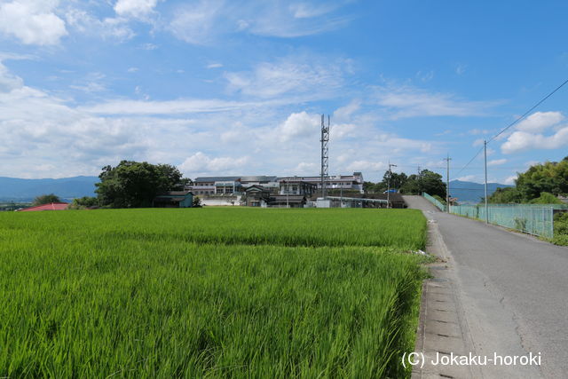 阿波 青木城太郎丸の写真