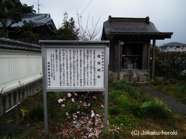 阿波 板西城の写真