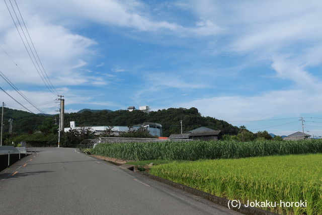 阿波 台山城の写真