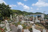 阿波 田林寺営の写真