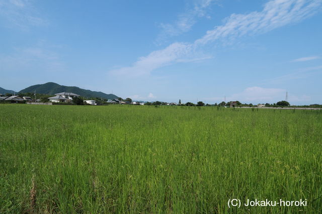 阿波 土井城の写真