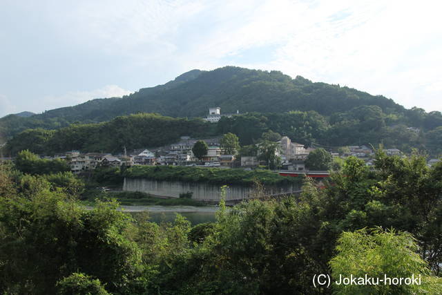 阿波 白地城の写真