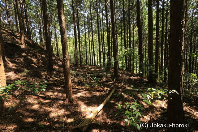 阿波 畑山城の写真