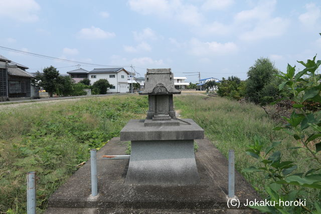 阿波 早渕城の写真