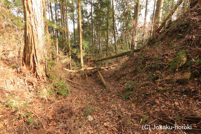 阿波 東山城の写真