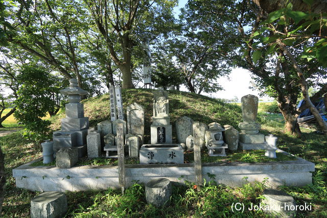 阿波 平島館の写真